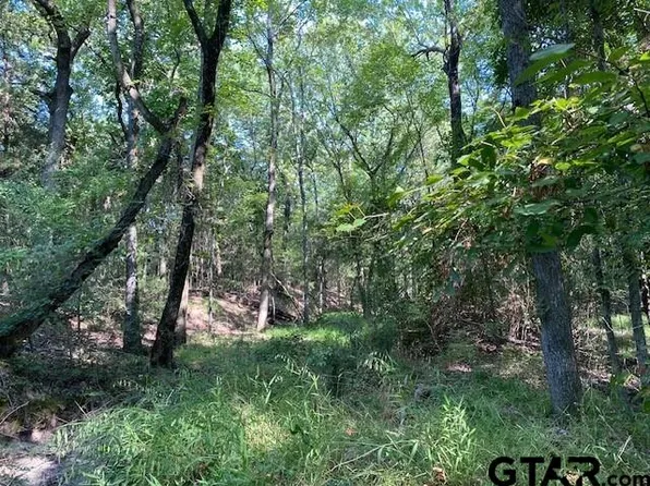 Township Road 4 Cres #A-41514, Athens, TX 75751