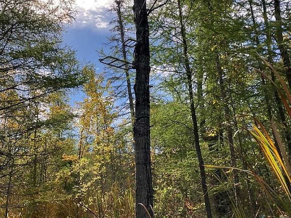 3rd image of 0 Douglas Rd