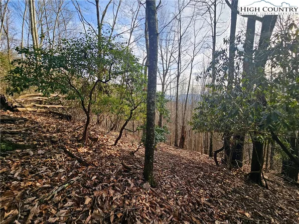 Lot 111 Sunset View Dr, Grassy Creek, NC 28631