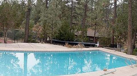 Outdoor pool for summer