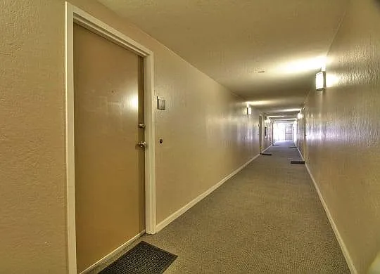 The Luxe Apartments — Photo 13