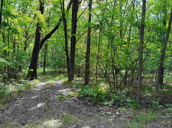 Lots 1006&1007 Spruce Hill Dr, Farwell, MI 48622