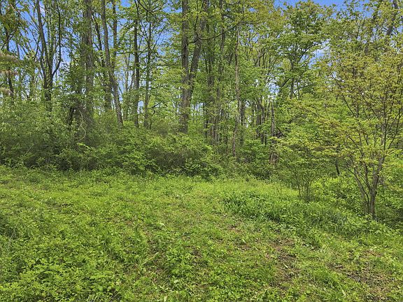 4th image of 29500 Fairview Ridge Rd