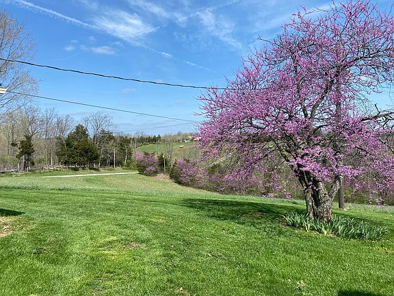 2nd image of 317 Short Rd