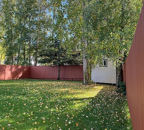 Side & Back Yard & Shed