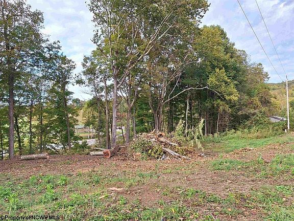 3rd image of Bluebell Dr