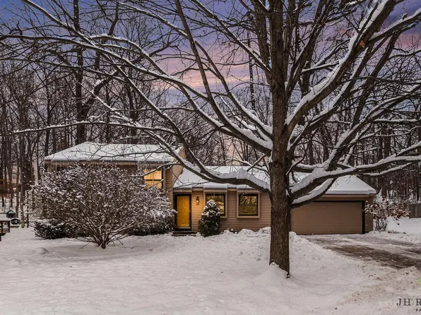 446 Adaway Ave SE, Ada, MI 49301