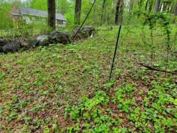 0 Gayles Ln, Front Royal, VA 22630