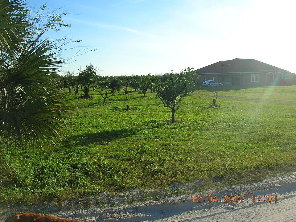 Orchard
