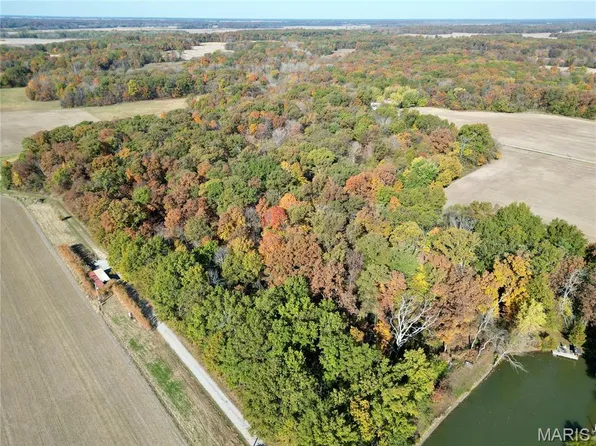 18061 N 1100th St, Hidalgo, IL 62432