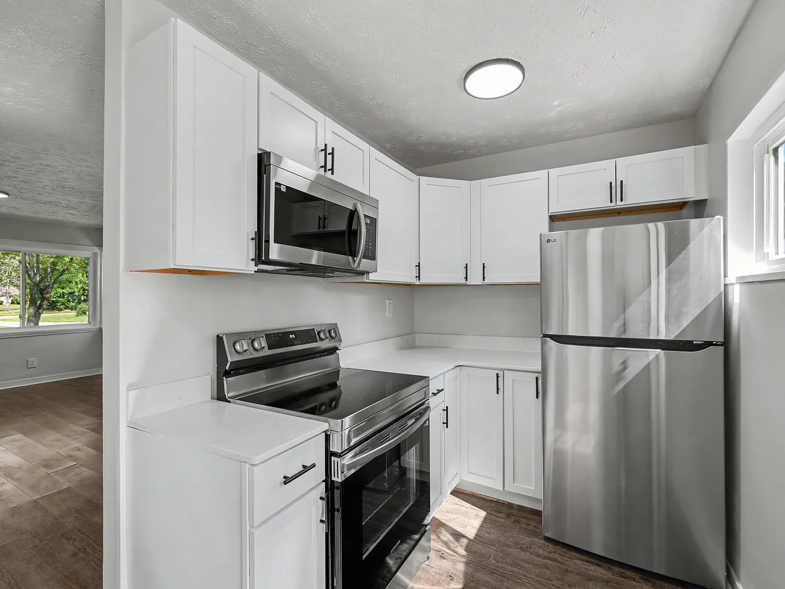 3 bed, 950 sqft, $1,500 — Photo 3
