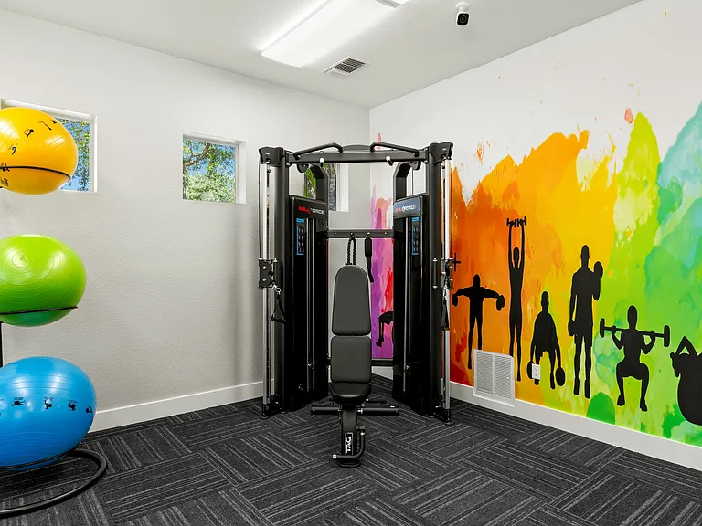 Functional Trailer & Fitness Balls