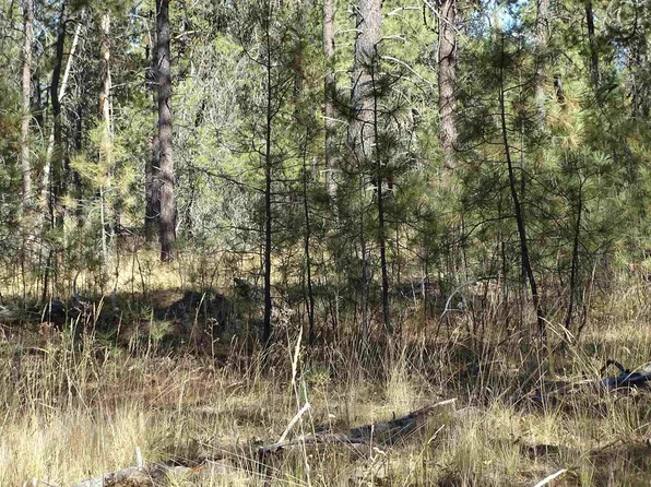 4905 Rail Canyon Rd, Springdale, WA 99173