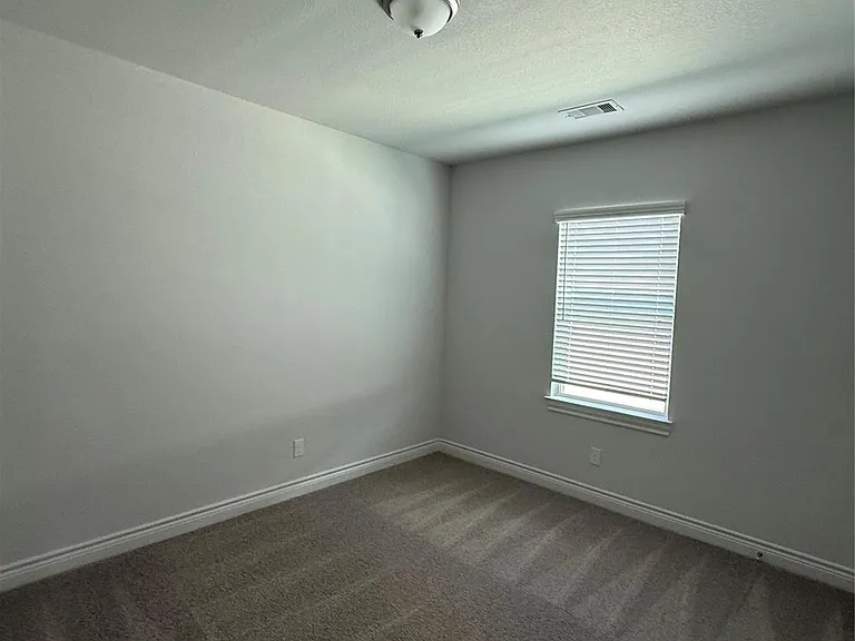 11910 Wisteria Meadows Dr — Photo 12