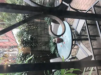 Rented by Chartwell Manhattan Realty