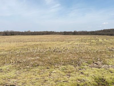 0 John Allen Gordon Blake Williams Rd, Brownsville, TN, 38012