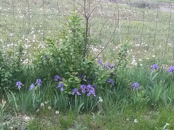 3rd image of 187 Edwards Gulch Rd