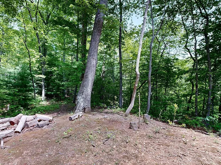 1709 Floyd Way — Photo 32