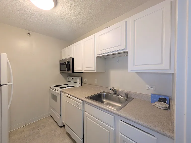 10 E Ontario St #1105 — Photo 6