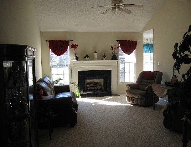 Fireplace and Cathedral Ceiling