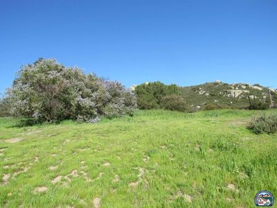 1899 Lake Morena Dr, Campo, CA, 91906