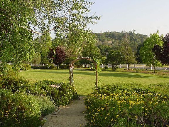 Arbor and grass area