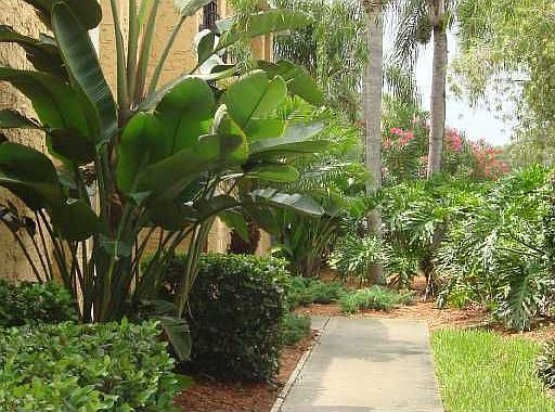 Tropical entrance