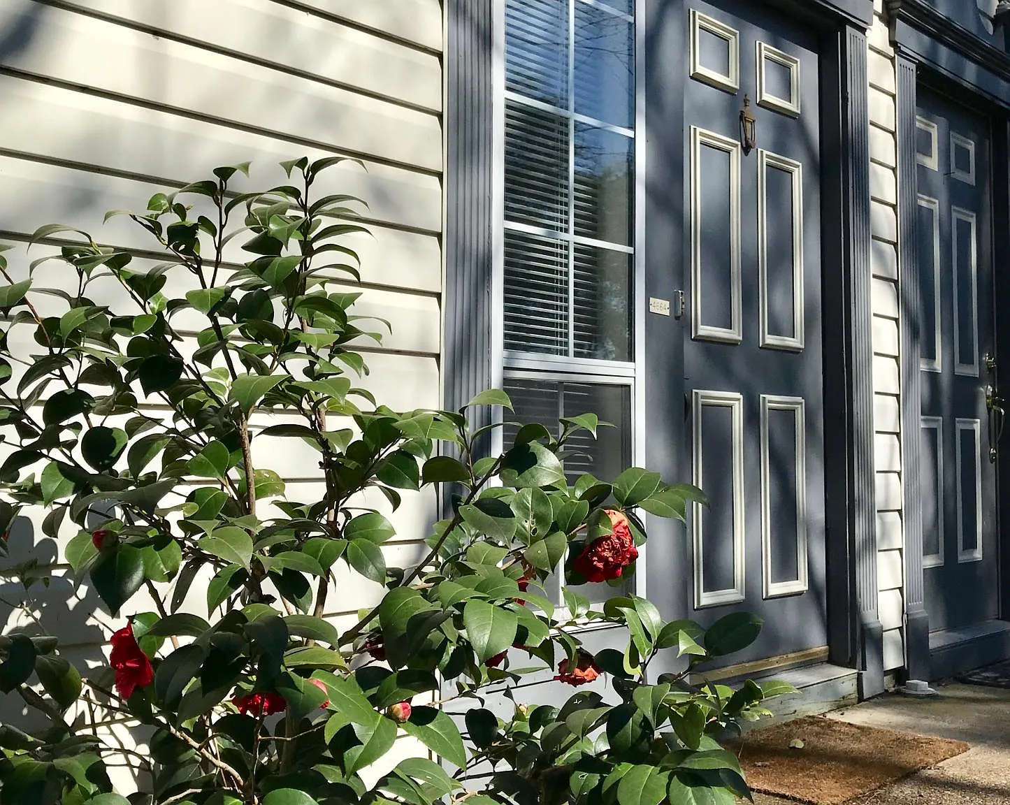 4664 Genoa Circle — Photo 1