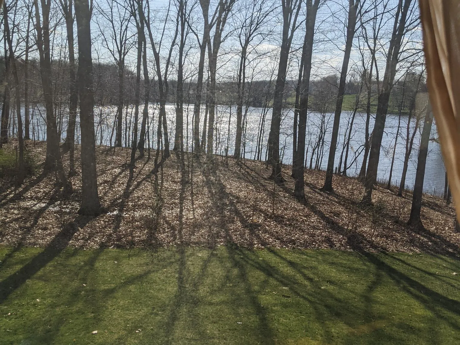 1 bed, 970 sqft, $2,100 — Photo 3