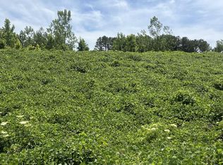 0 Highway 9 S, Blue Springs, MS 38828