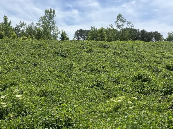 0 Highway 9 S, Blue Springs, MS 38828