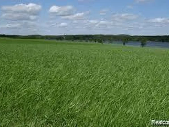 0 Conrad Dr, North Street, MI 48049