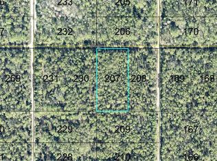 207 DONNA STREET, HASTINGS, FL 32145