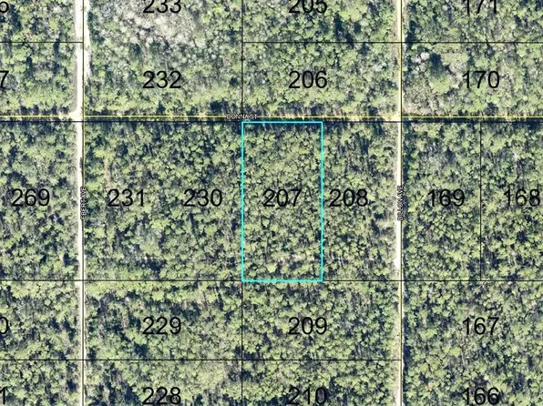 207 DONNA STREET, HASTINGS, FL 32145