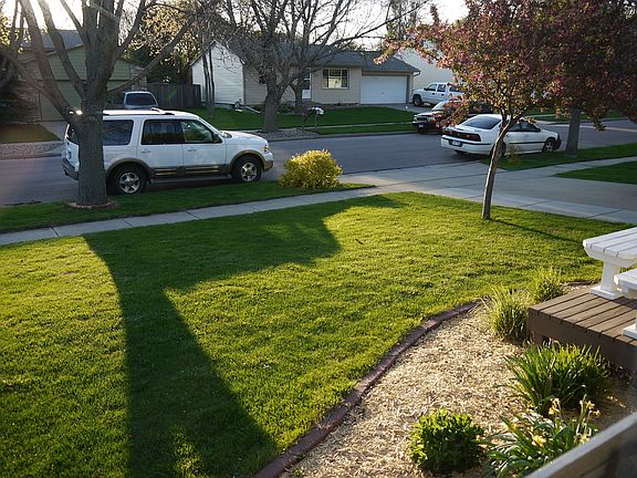 Front Yard