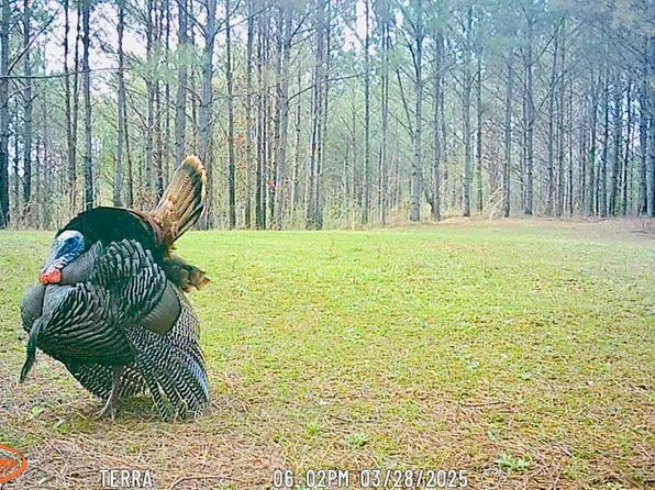 41 County Road 1325, Booneville, MS 38829