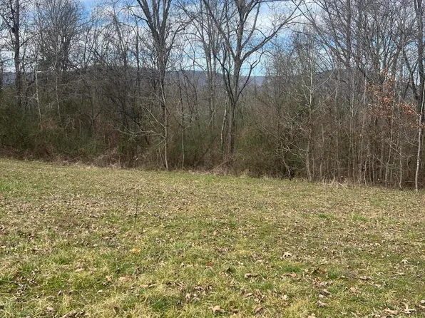 425 Reynolds Rd, South Pittsburg, TN 37380