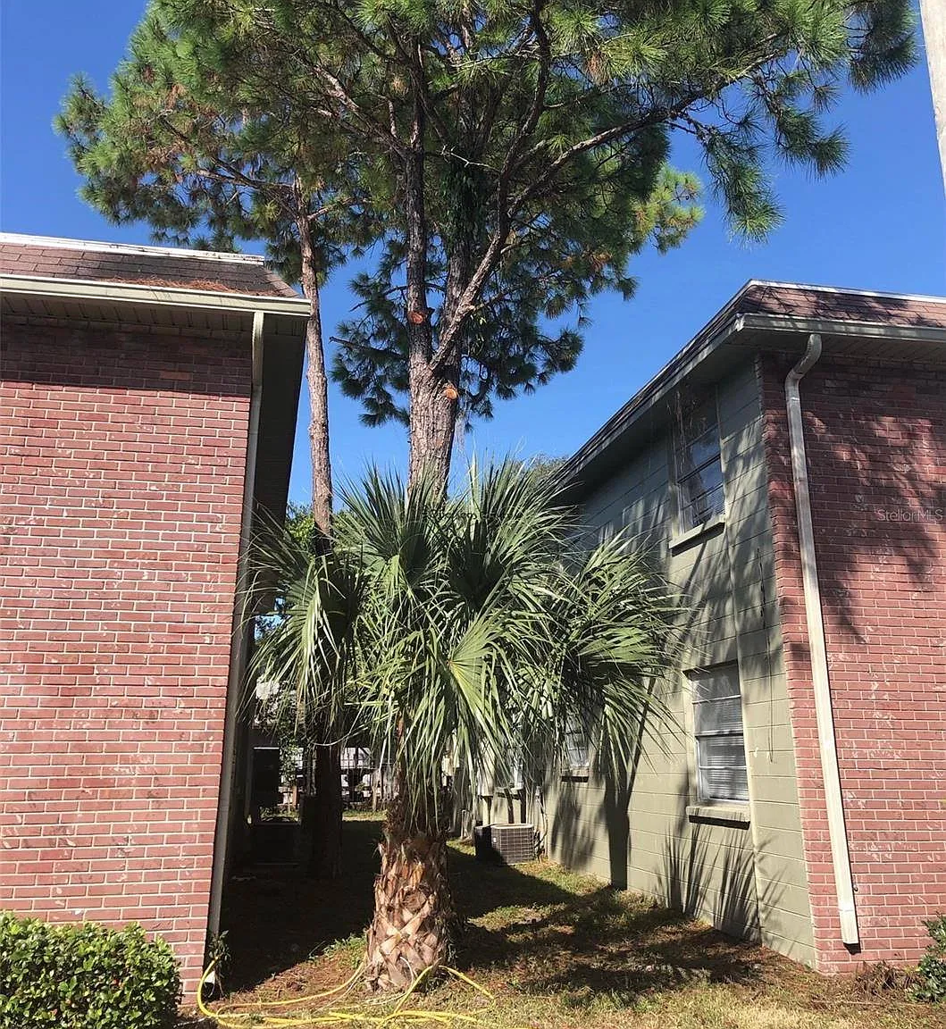 1 bed, 600 sqft, $995 — Photo 2