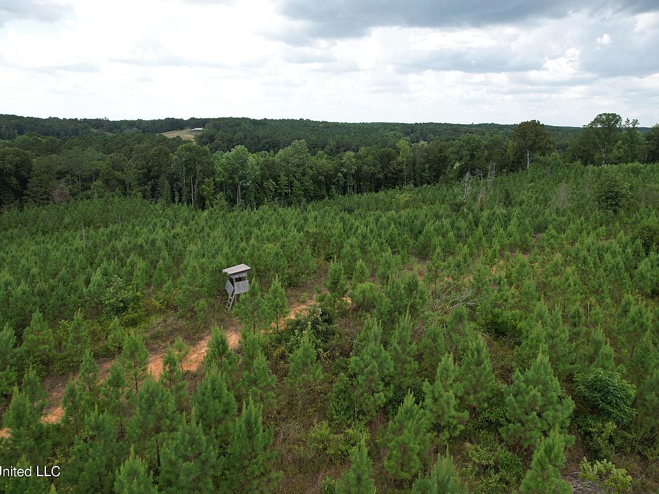2nd image of County Road 428