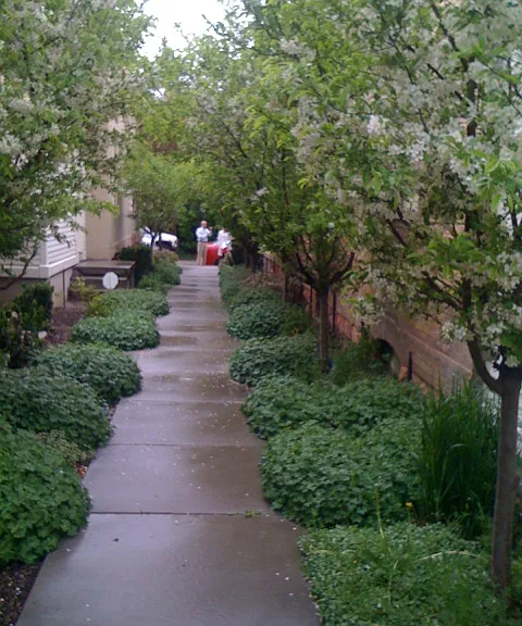325 S Reeves Ter — Photo 14