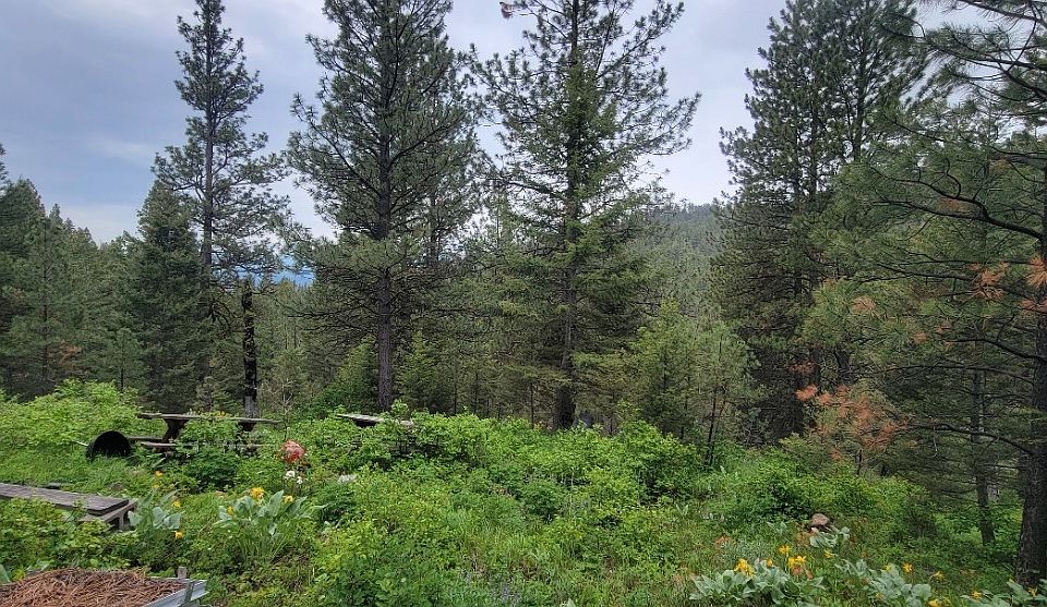 Nhn Copper Ridge Trl, Florence, MT 59833 Zillow