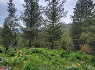 Nhn Copper Ridge Trl, Florence, MT 59833