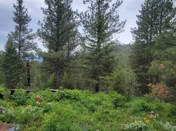 Nhn Copper Ridge Trl, Florence, MT 59833