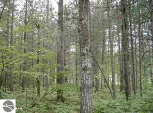 0 S Seeley Rd, Cadillac, MI 49601