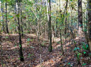 18 Burch Ave, Newnan, GA 30263