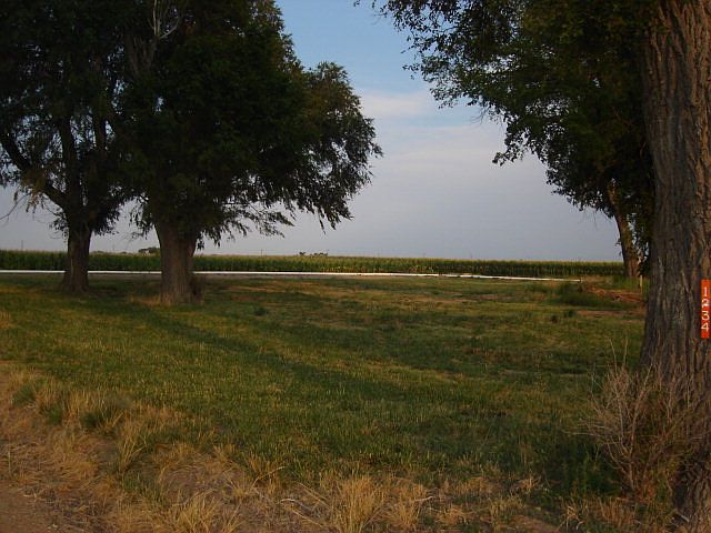 2nd image of 1234 County Road Kk