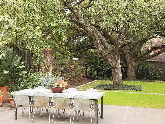 More beautiful oak trees grace the southwest corner of the property. This is the view from the pool area and south patio area.