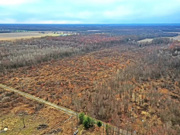 Hoagland Blackstub Rd, Orwell, OH 44076