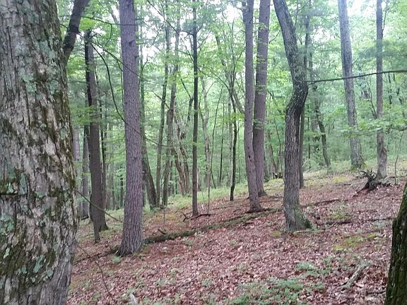 3rd image of 29 Cedar Run Ln