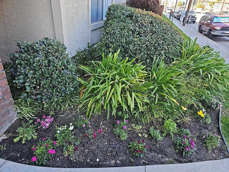 Sepulveda Blvd — Photo 3
